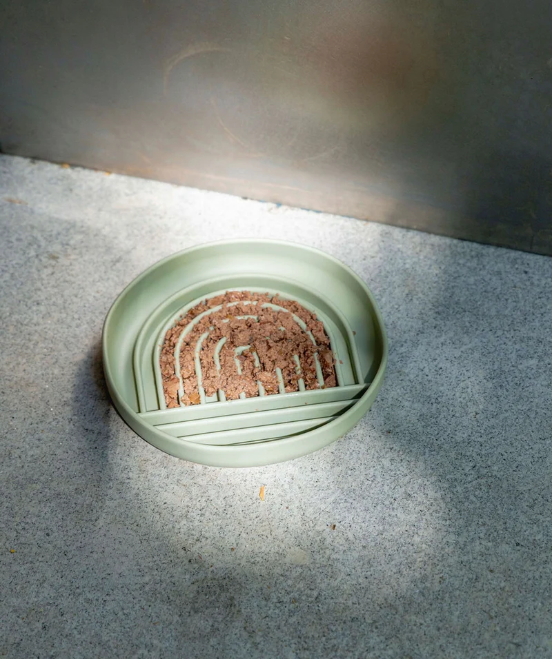 Slow Feeder For Pets