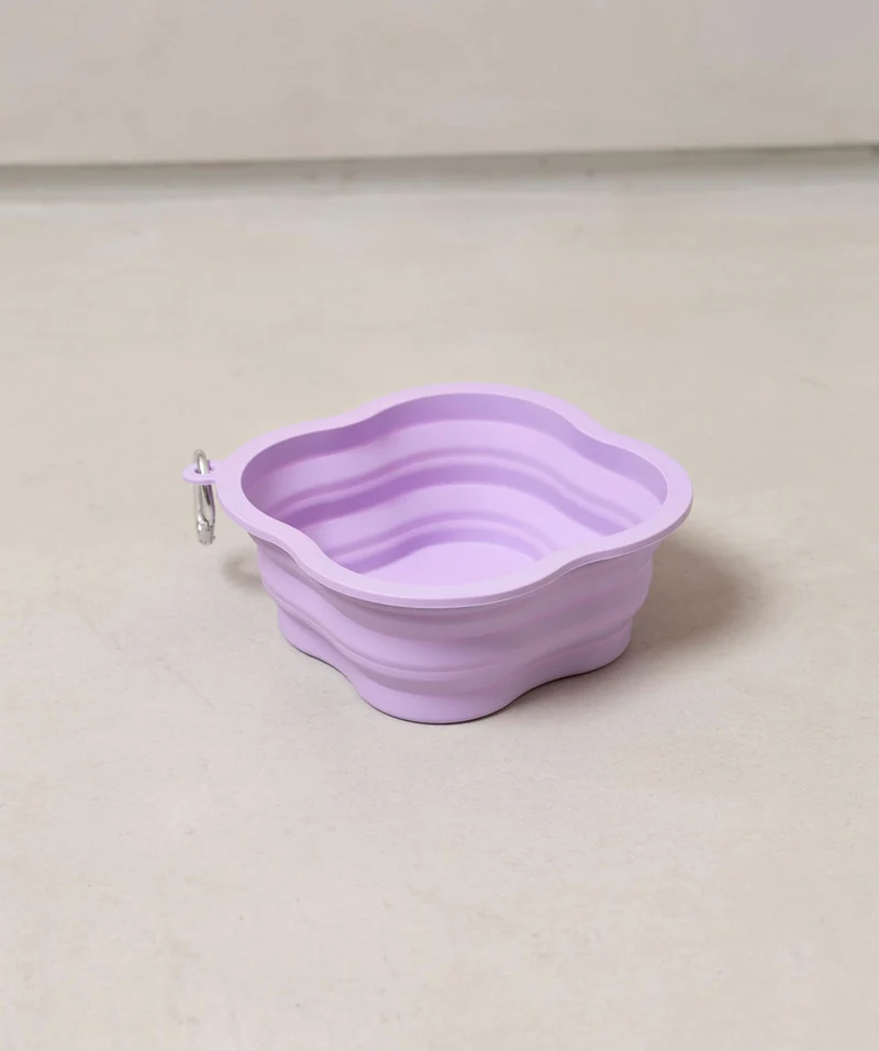Bowl For Pets