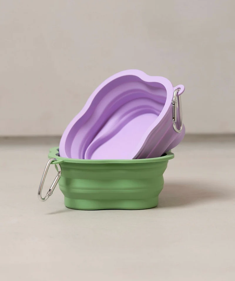 Bowl For Pets
