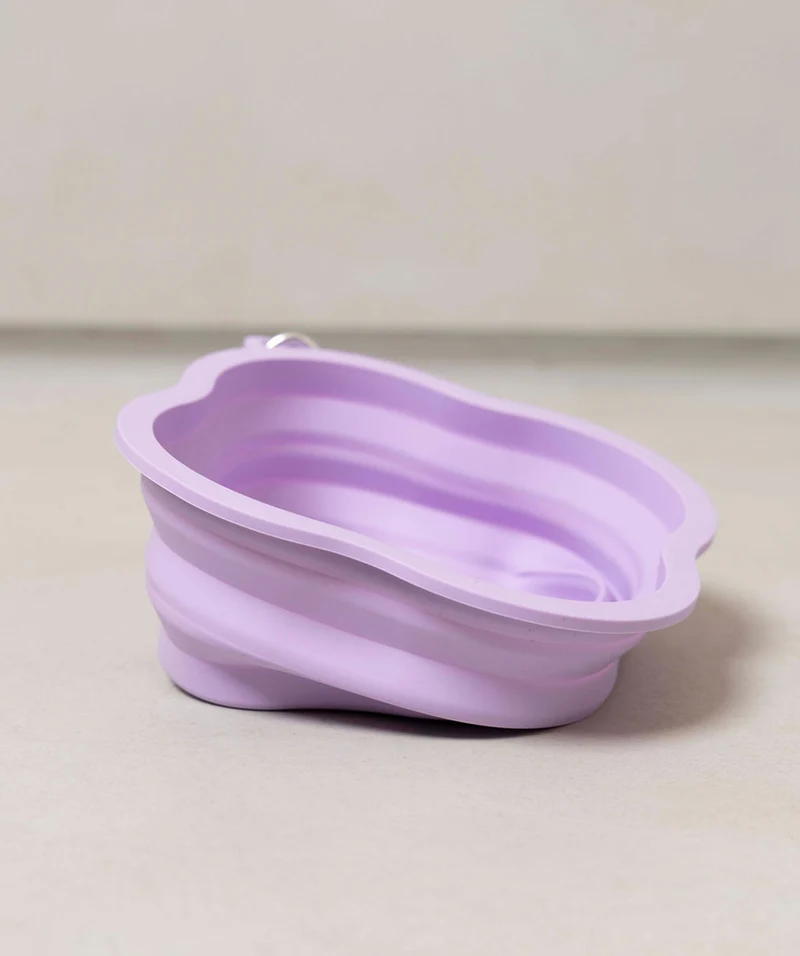 Bowl For Pets