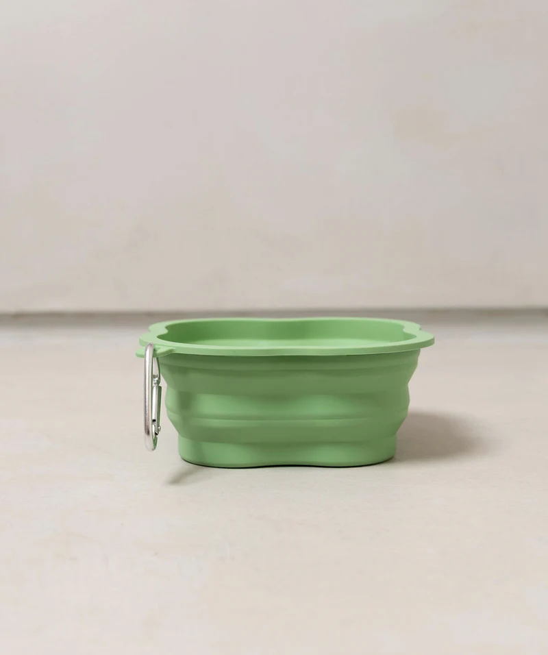 Bowl For Pets