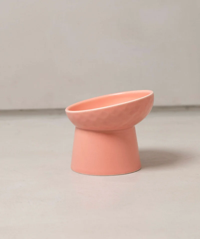 Glow Bowl