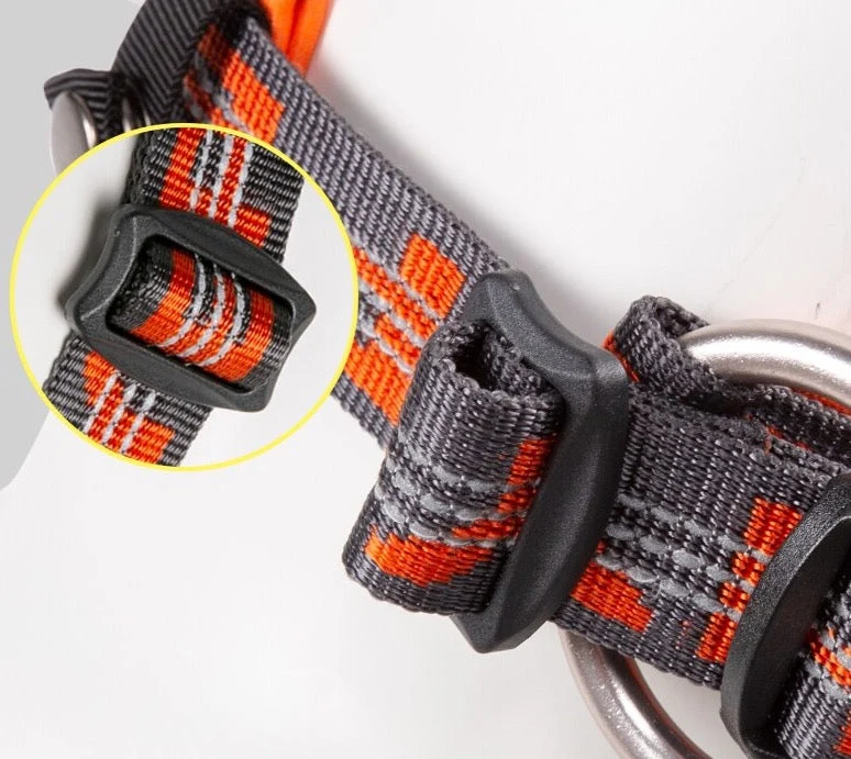 WINHYEPET Neopren gepolstertes und reflektierendes Halsband