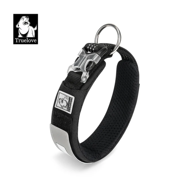 Personalisierbares Hundehalsband