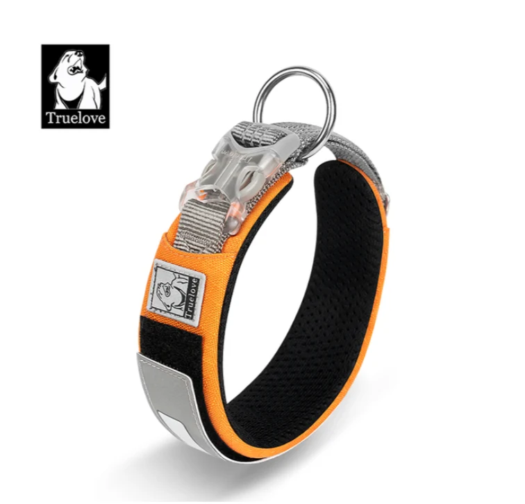Personalisierbares Hundehalsband