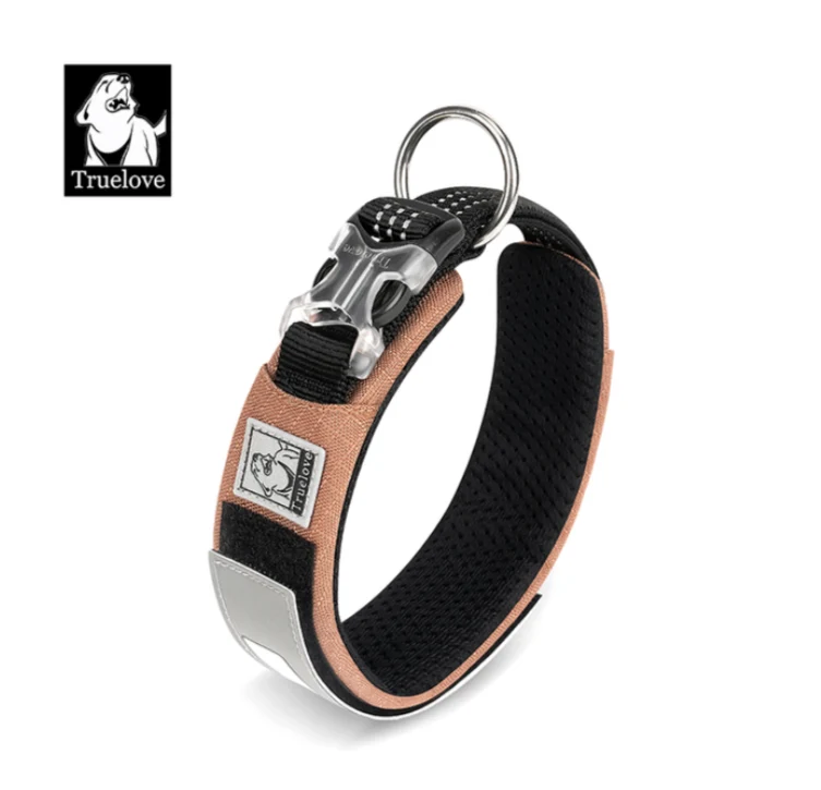 Personalisierbares Hundehalsband