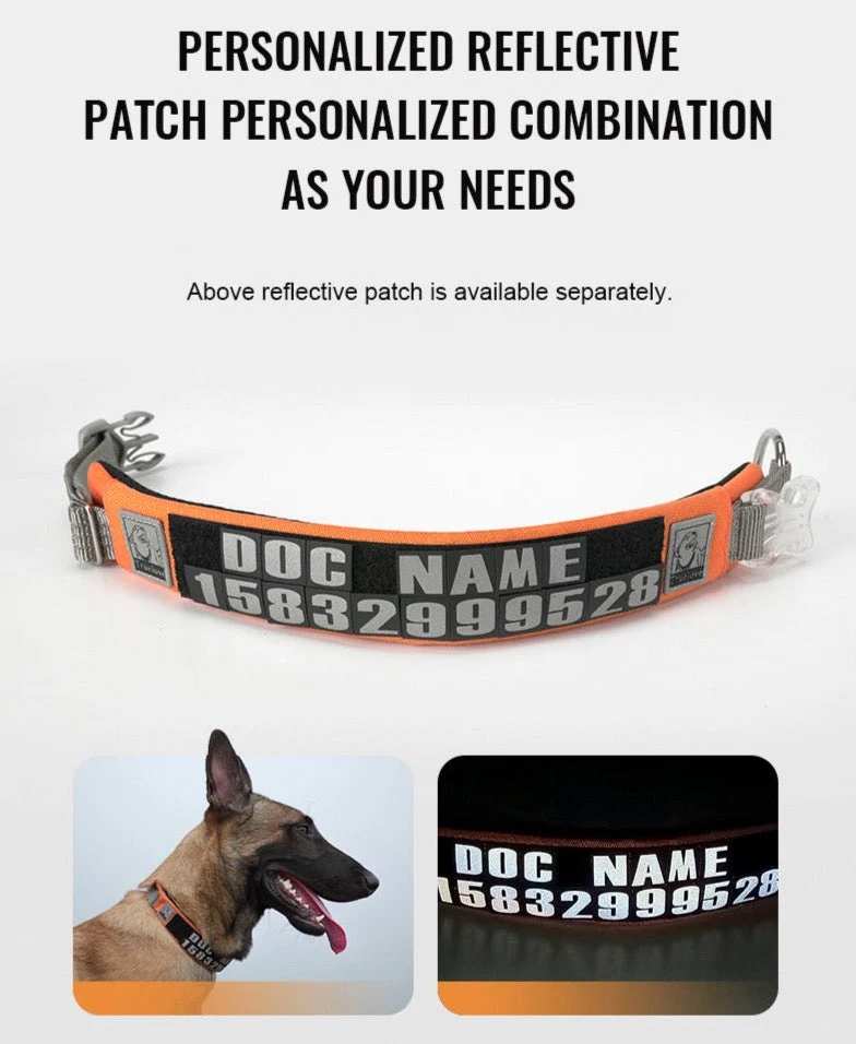 Personalisierbares Hundehalsband