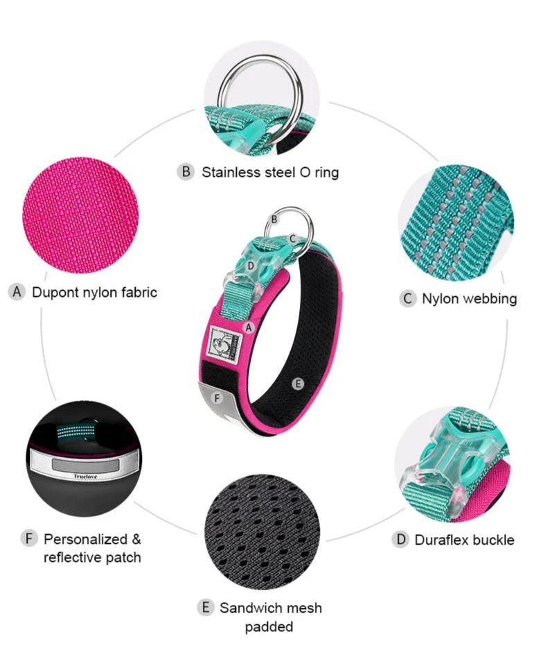 Personalisierbares Hundehalsband