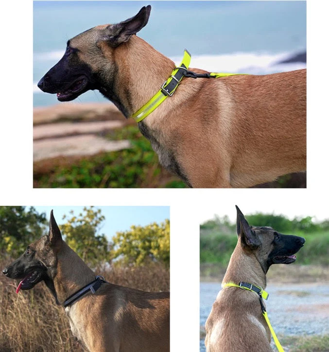 Wasserdichtes Hundehalsband mit Superreflexion