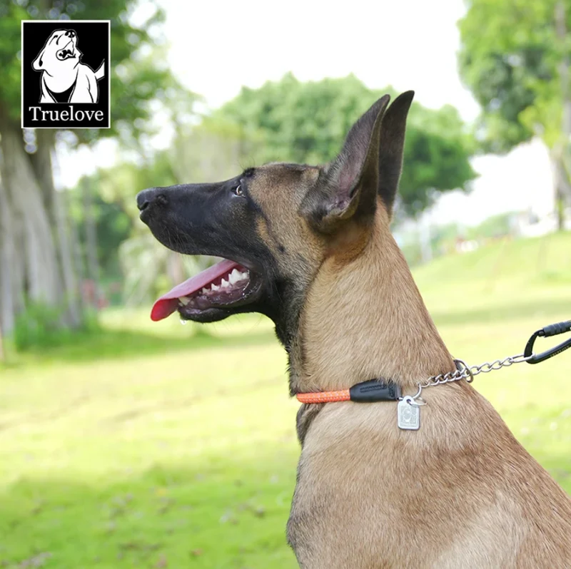 Reflektierendes Hundehalsband mit Kettenzugstop V1.0 "Neon"
