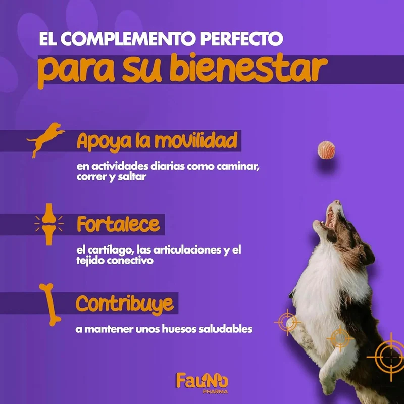 Flexipaws Condroprotetor para cães, glucosamina, condroitina, ômega-3, MSM, mexilhão lábios verde, açafrão (articulações, anti-inflamatório, dôr, artrite) 200 gr