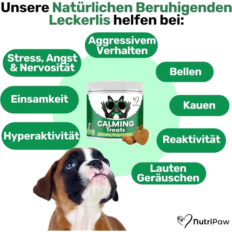 Biscoitos calmantes para cães - Reduzem o stress, ansiedade, ansiedade de separação, ladrar, hiperatividade, reatividade, agressividade, problemas de viagem - relaxamento sem sonolência para cães