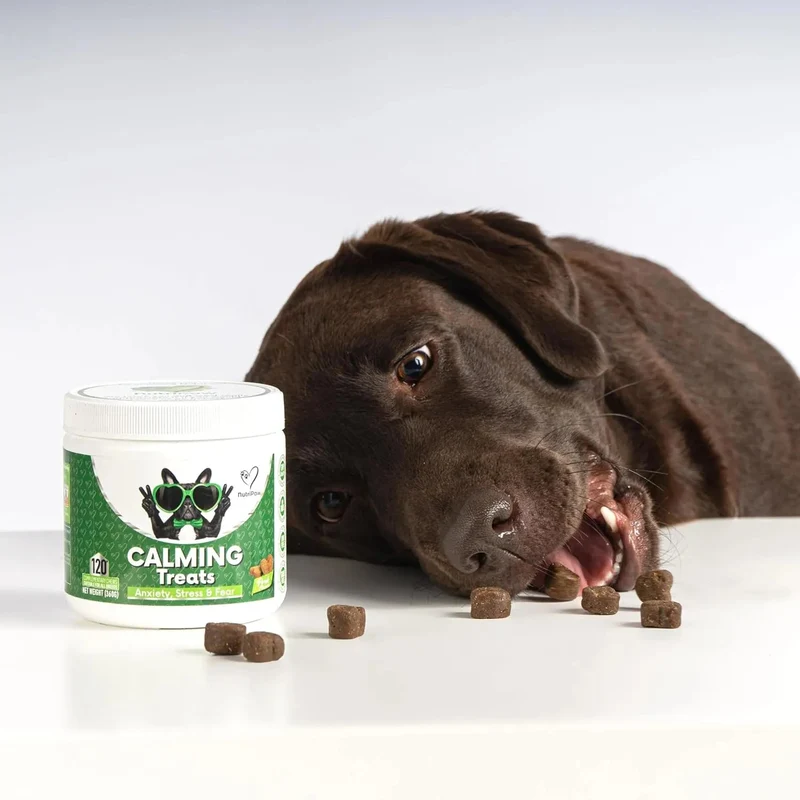 Biscoitos calmantes para cães - Reduzem o stress, ansiedade, ansiedade de separação, ladrar, hiperatividade, reatividade, agressividade, problemas de viagem - relaxamento sem sonolência para cães