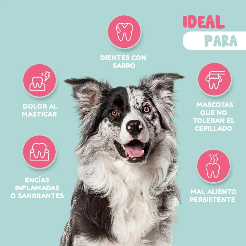 Woffy Stop Smelly pó dental natural para mau hálito de cão - elimina o tártaro, reduz a placa e melhora o mau hálito (com algas ascophyllum e probióticos)