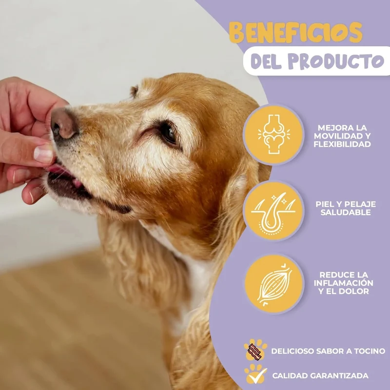 Woffy FlexiJoint Condroprotetor para cães grandes e pequenos com glucosamina, condroitina, anti-inflamatório 100% natural, melhora a mobilidade e a saúde articular