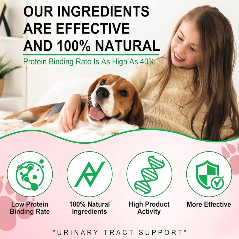 Tratamento do trato urinário e suplemento de controlo da bexiga e rins, mastigáveis suaves com mirtilo, reforço natural do sistema imunitário (30 unidades)