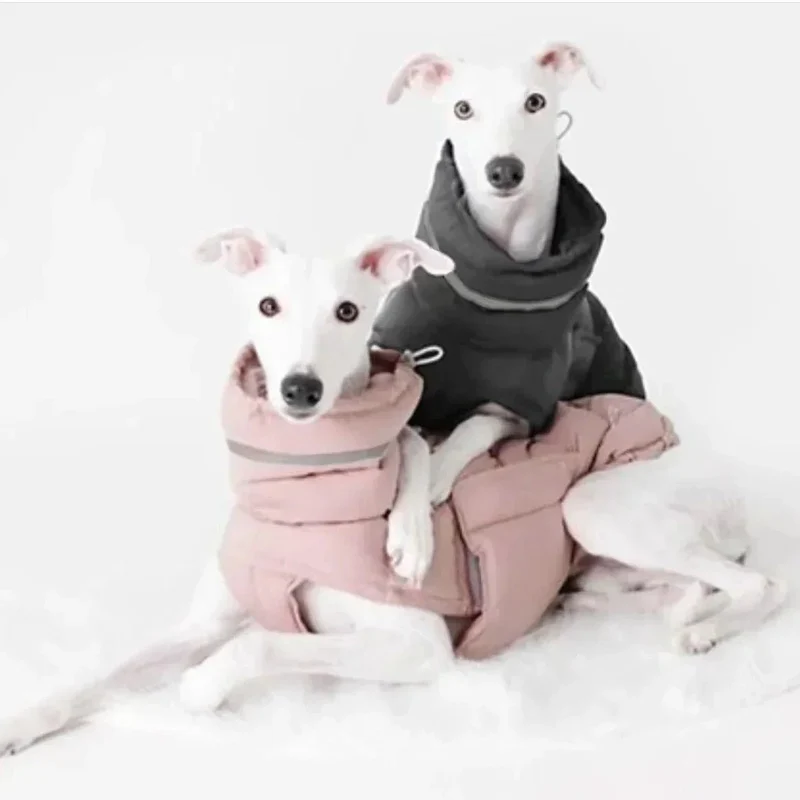 Blusão / Casaco de Inverno, Quente e Impermeável, para Cães