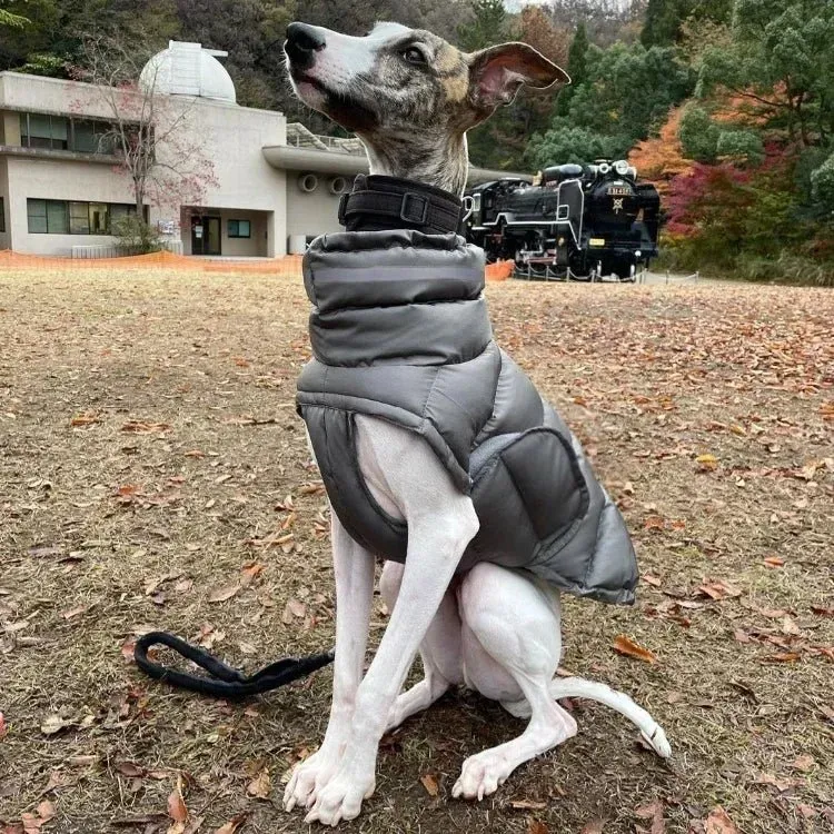 Blusão / Casaco de Inverno, Quente e Impermeável, para Cães