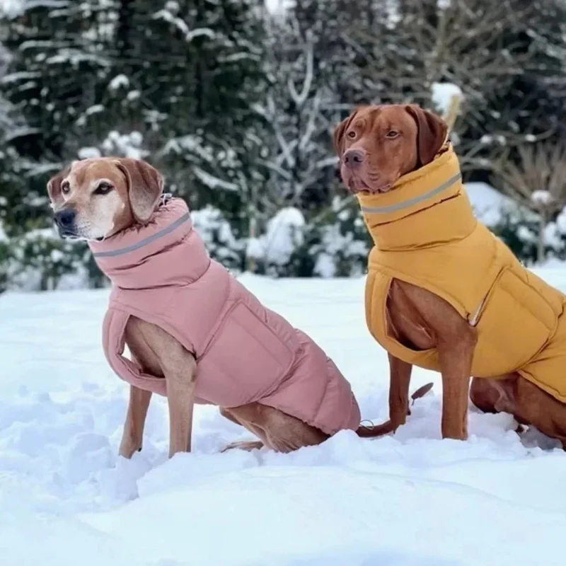Blusão / Casaco de Inverno, Quente e Impermeável, para Cães