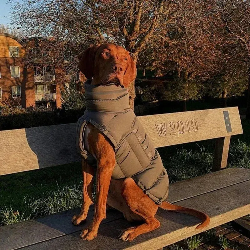 Blusão / Casaco de Inverno, Quente e Impermeável, para Cães