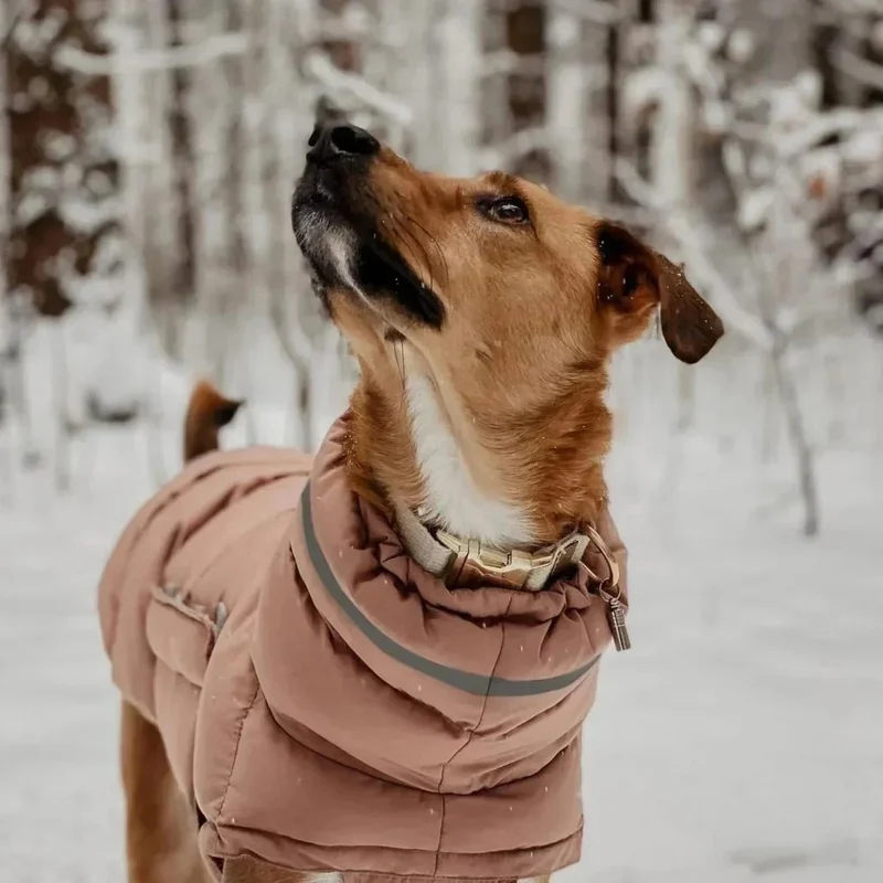 Blusão / Casaco de Inverno, Quente e Impermeável, para Cães