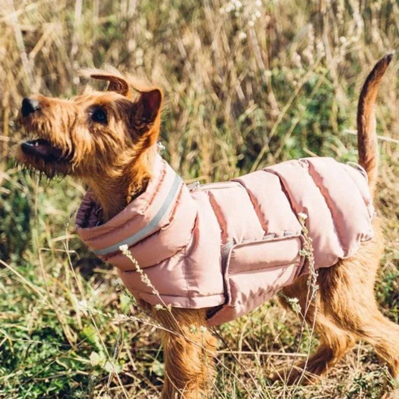 Blusão / Casaco de Inverno, Quente e Impermeável, para Cães