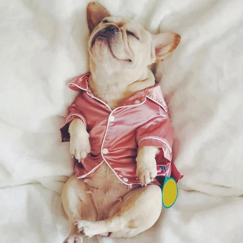 Pijama de Luxo para Gatos ou Cães Pequenos e Médios