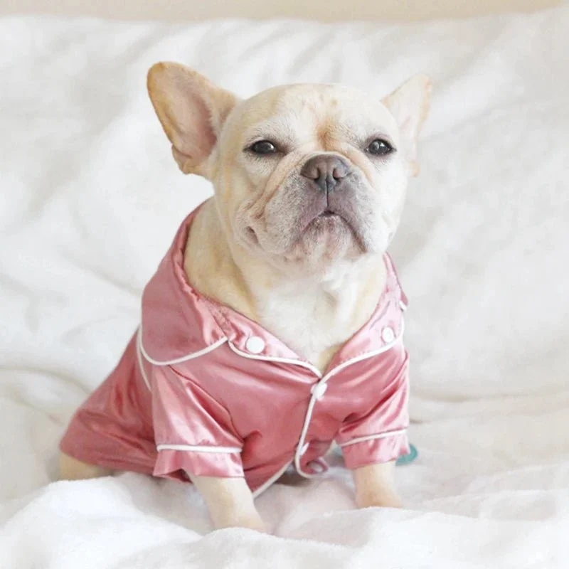 Pijama de Luxo para Gatos ou Cães Pequenos e Médios