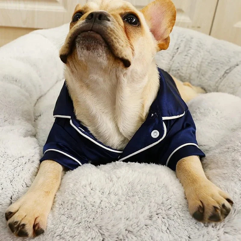 Pijama de Luxo para Gatos ou Cães Pequenos e Médios