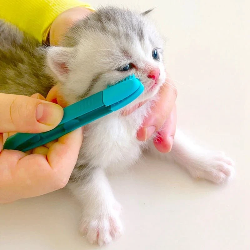 Escova de limpeza de olhos e pestanas, para gatos ou cães pequenos
