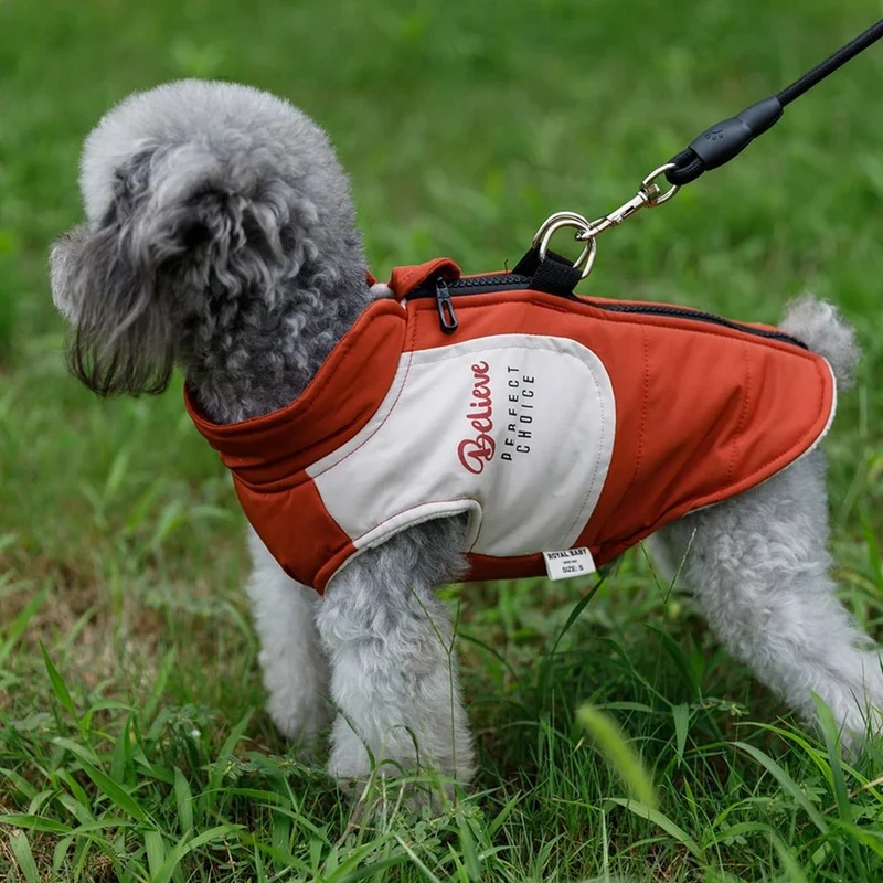 Casaco / Blusão Quente e impermeável, com trela, para Cães Pequenos e Médios