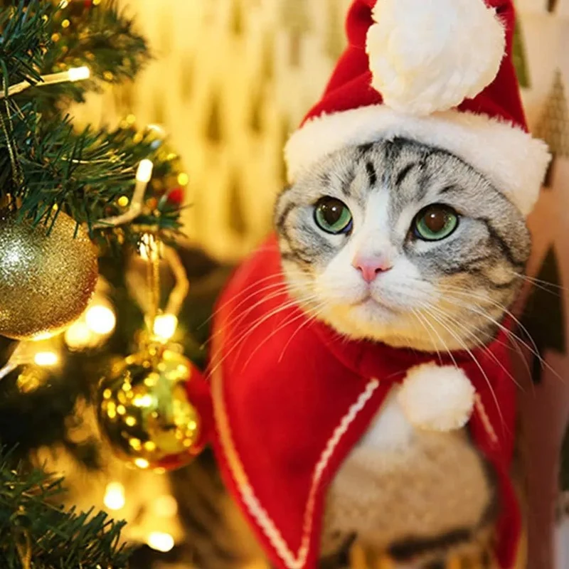 Capa e Capuz de Natal para Gatos ou Cães Pequenos