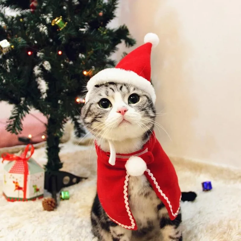 Capa e Capuz de Natal para Gatos ou Cães Pequenos