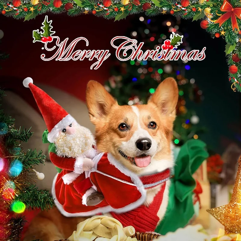 Roupa de Natal / Pai Natal para Cães Médios (L)