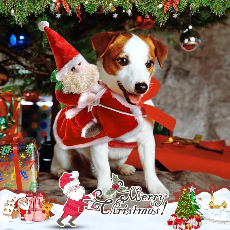 Roupa de Natal / Pai Natal para Cães Médios (L)