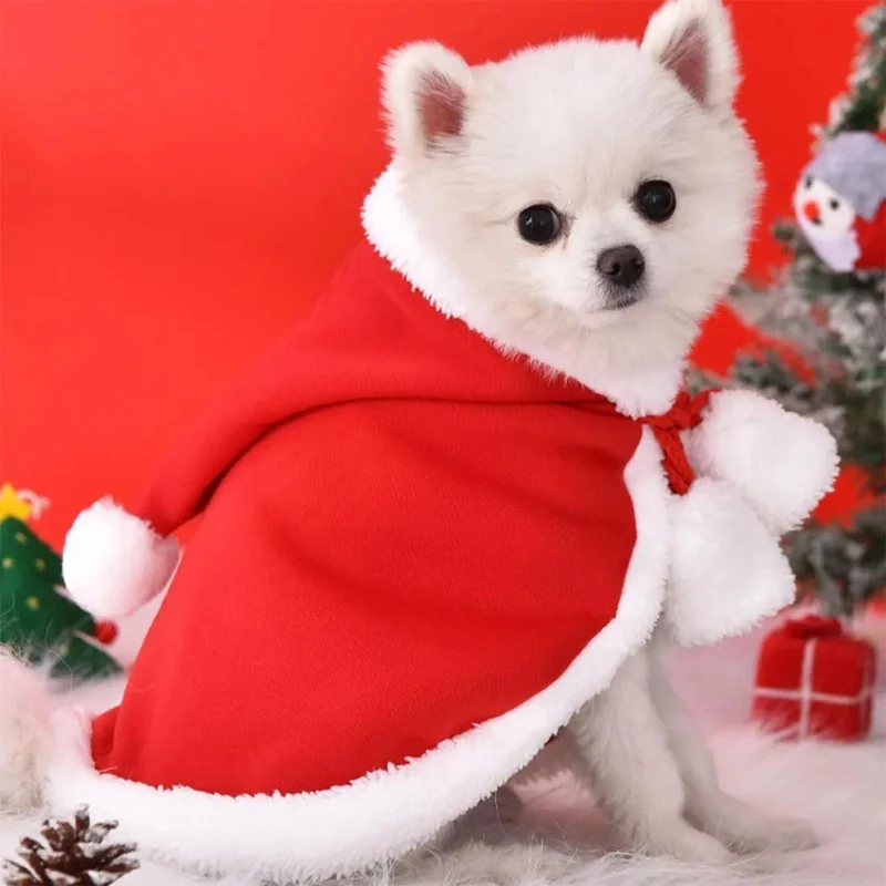 Camisola de Natal para Gatos ou Cães pequenos, Acessórios de Natal, Capa com capuz