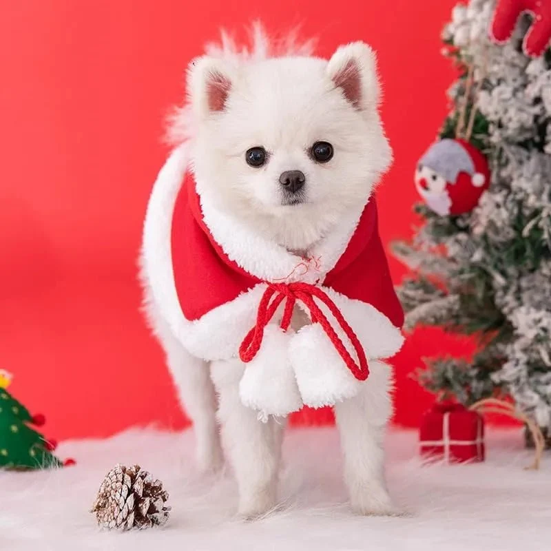 Camisola de Natal para Gatos ou Cães pequenos, Acessórios de Natal, Capa com capuz