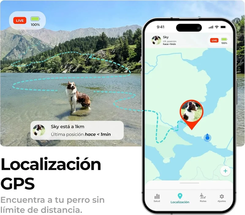 Coleira GPS para cães controlo via App - localização internacional em tempo real - rastreamento de saúde - 3 zonas seguras - Kolyy Série 2