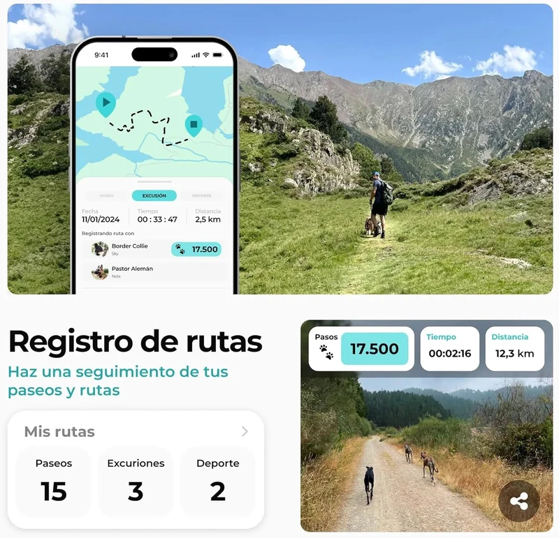 Coleira GPS para cães controlo via App - localização internacional em tempo real - rastreamento de saúde - 3 zonas seguras - Kolyy Série 2