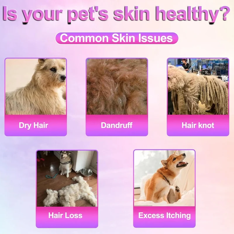 Biscoitos Skin & Coat Ómega 3 para cães - Pele saudável e Pelo brilhante - Alívio de alergias e comichão, com biotina, DHAgold, zinco, vitamina C, óleo de salmão para cães (150 unidades, sabor a frango)