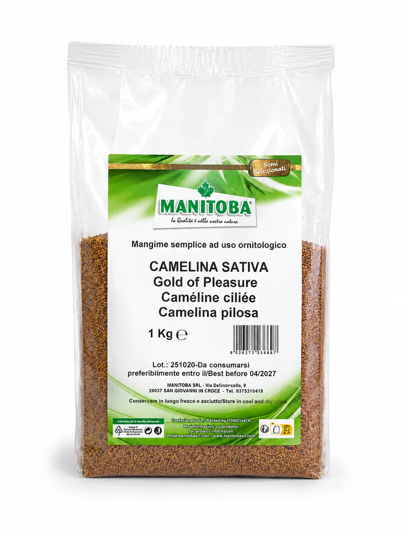 Gold des Genusses (hat die Eigenschaften von Hanfsamen (kleiner Senf) 1 kg - Manitoba)
