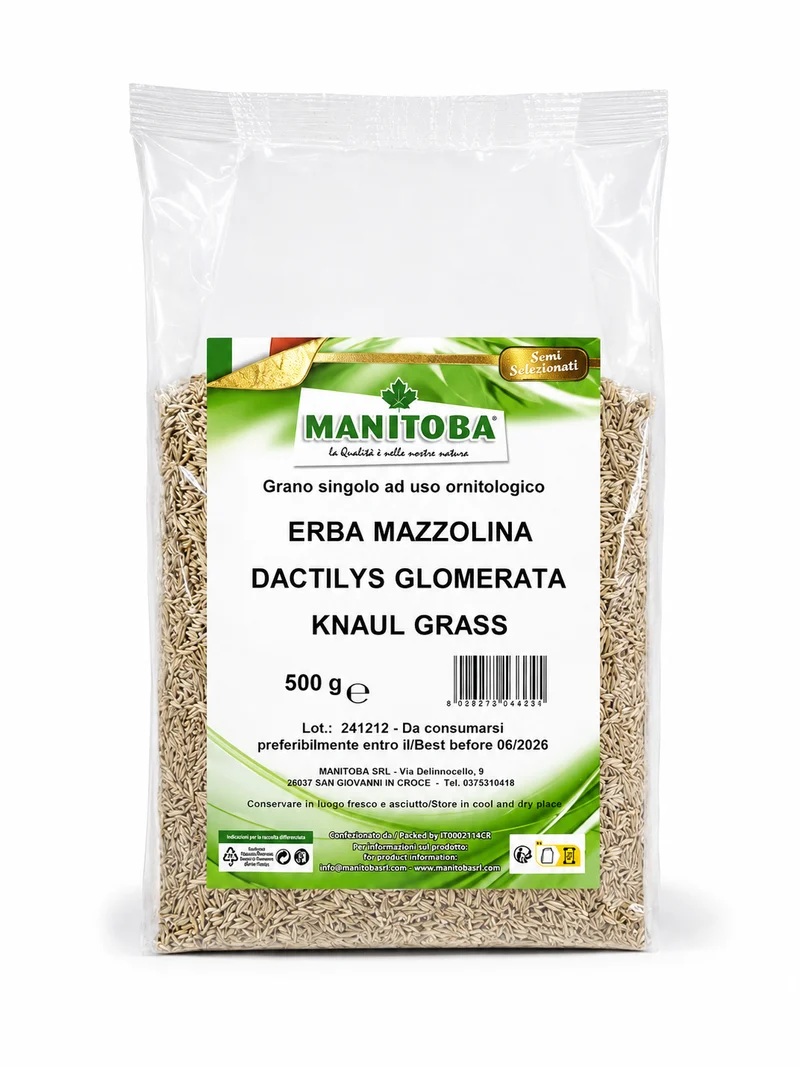 Knaulgras (Kronengras) 500 Gramm - Manitoba