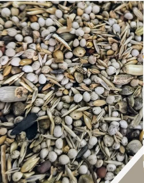 EXCELLENT MIX Frigolis 1kg - Spezialsamen ( ¹ ) Ornizin