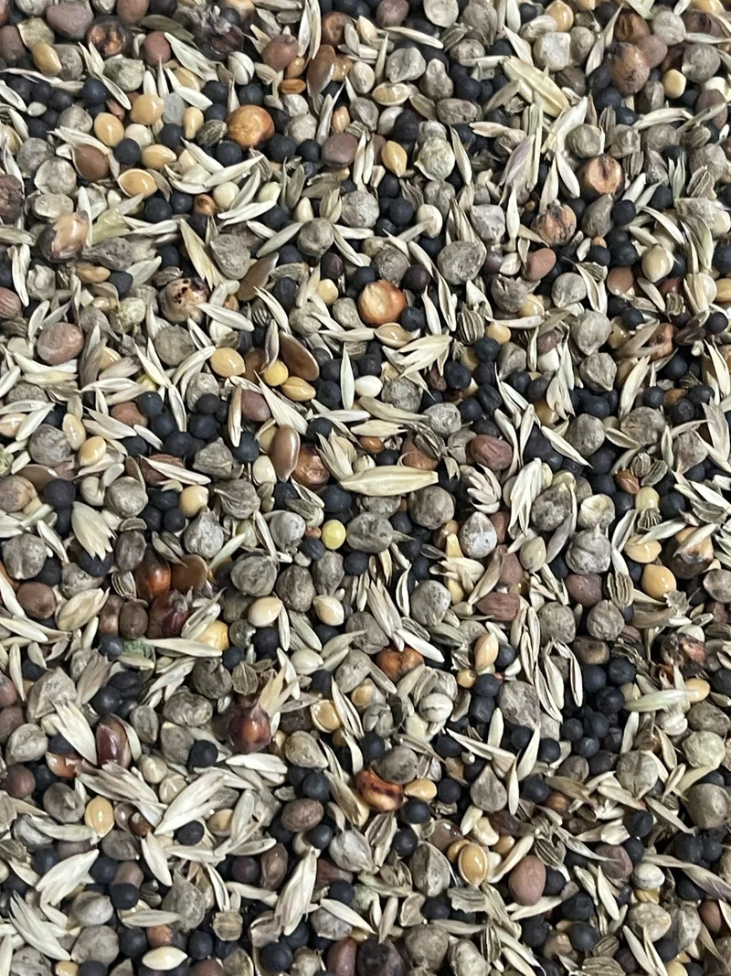 5911 Gesundheitssamen Extra 1kg Bird Supreme Ausgezeichnet