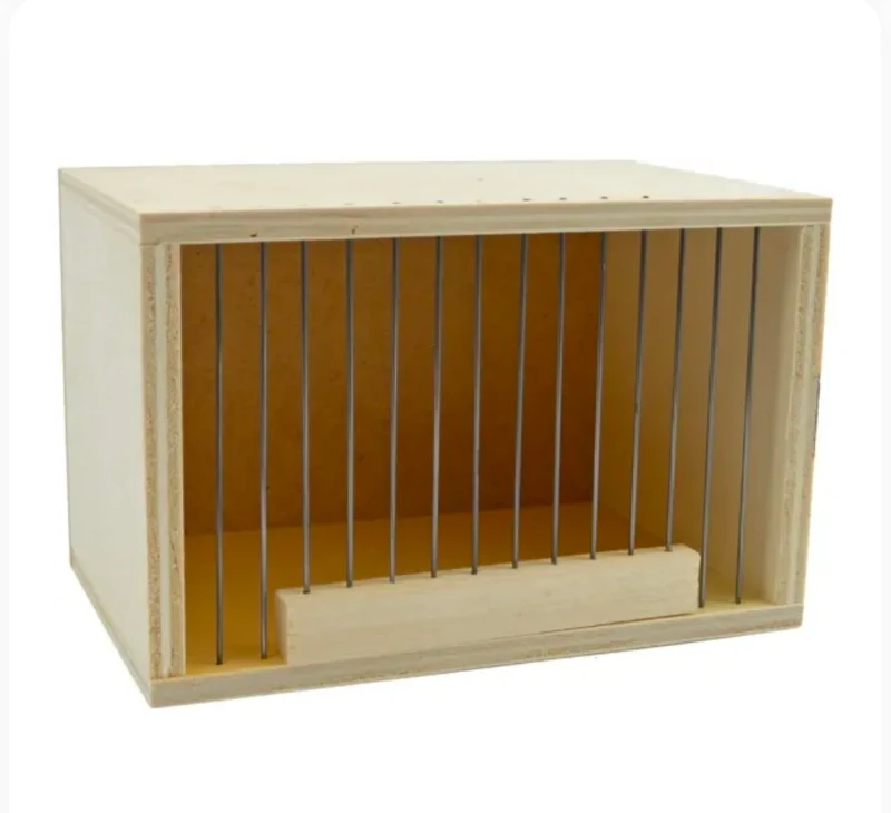 Transportbox Extra Klein 15x10x8 cm