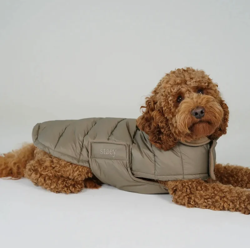 Hundemantel Nora | Taupe