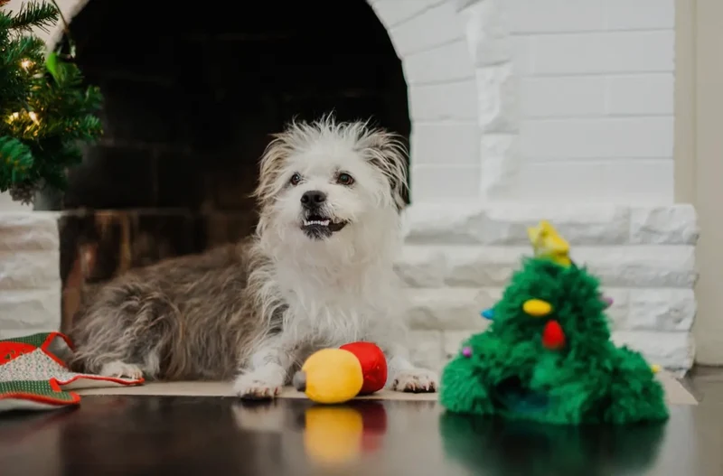 Hundespielzeug Weihnachtsbaum