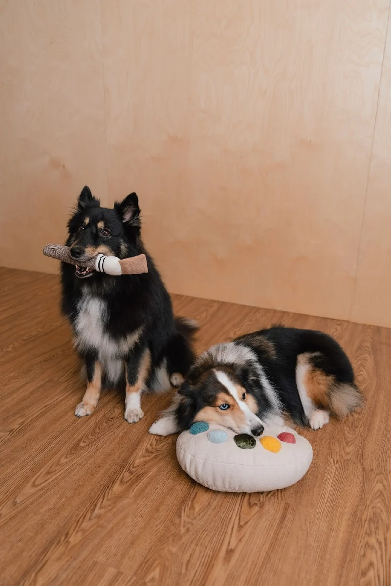 Hundespielzeug Farbpaletten-Set
