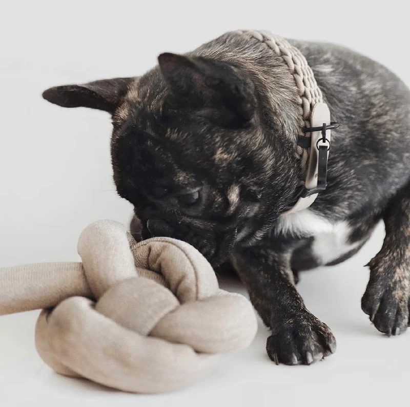 Hundespielzeug Knoten