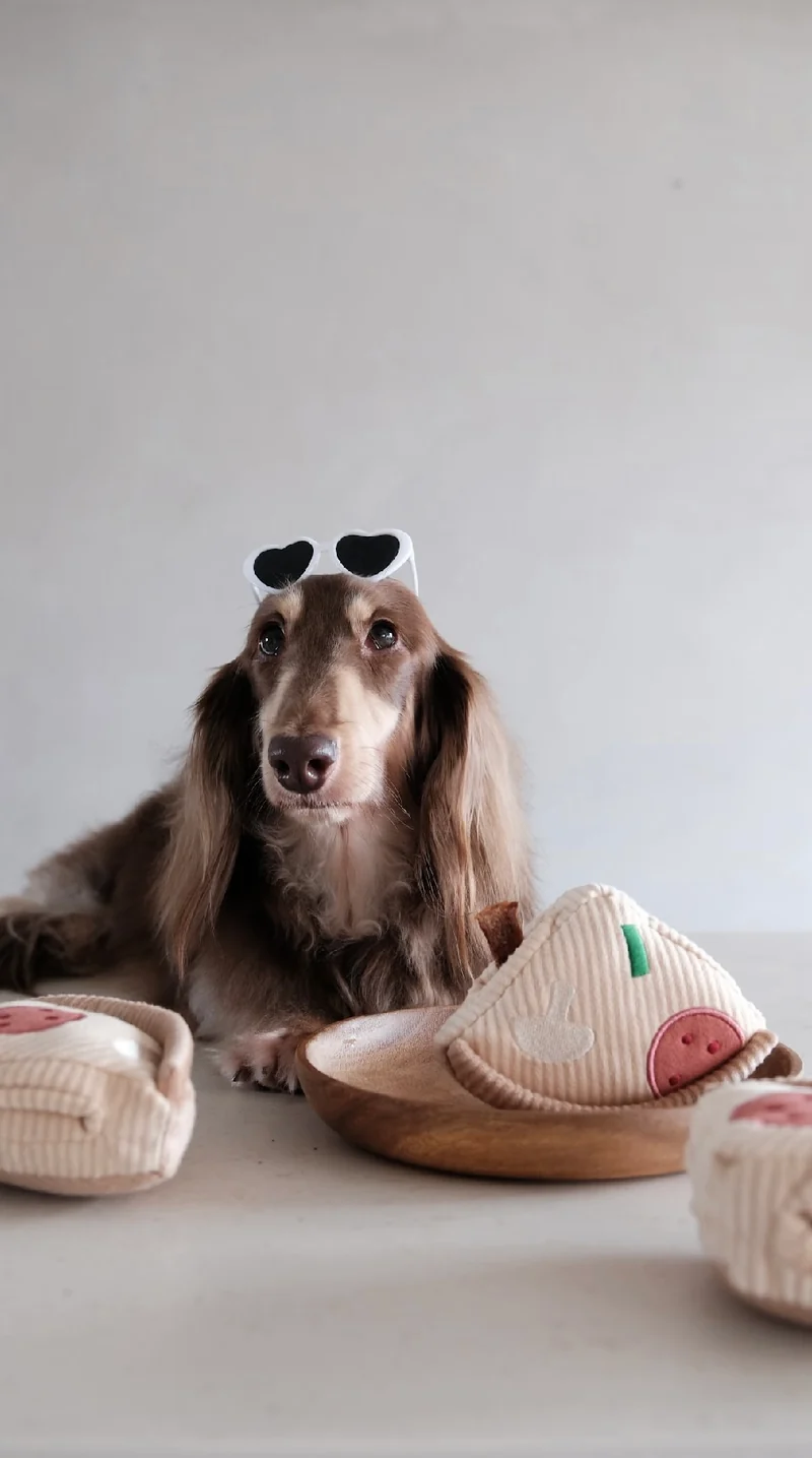 Hundespielzeug Pizza